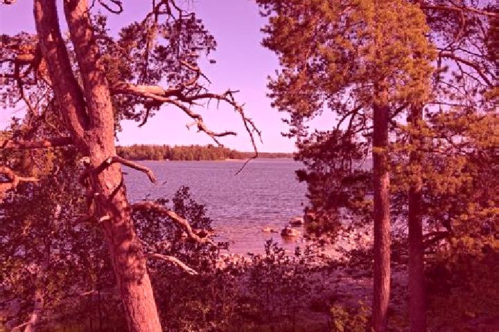 Sage, 36 — Escort in Haukiluoma, Finland