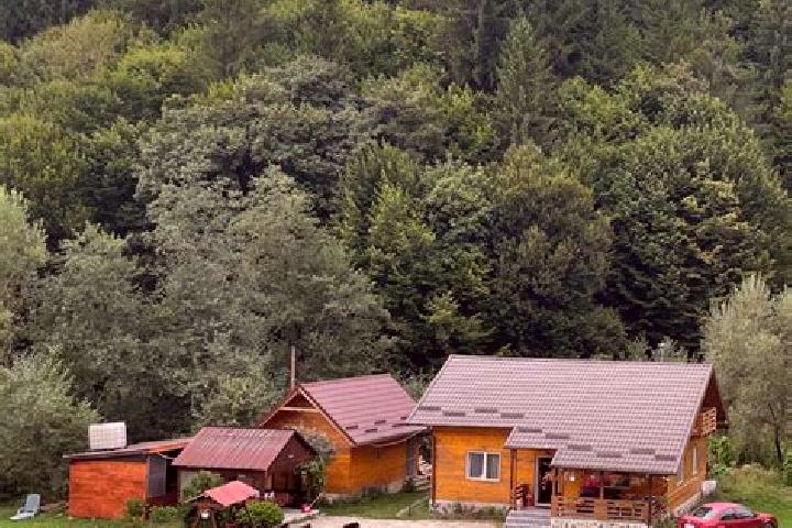 Sage, 36 — Escort in Holbav, Romania