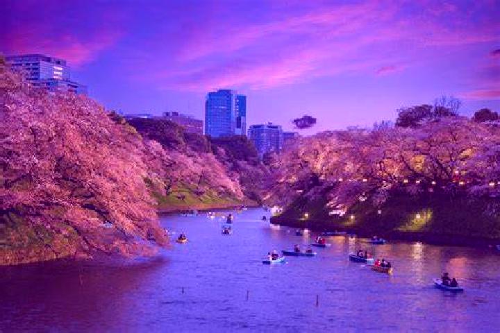 Sage, 36 — Escort in Komagome, Japan