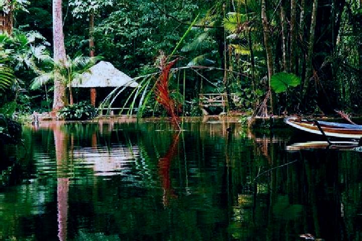 Sage, 36 — Escort in Lago dos Rodrigues, Brazil