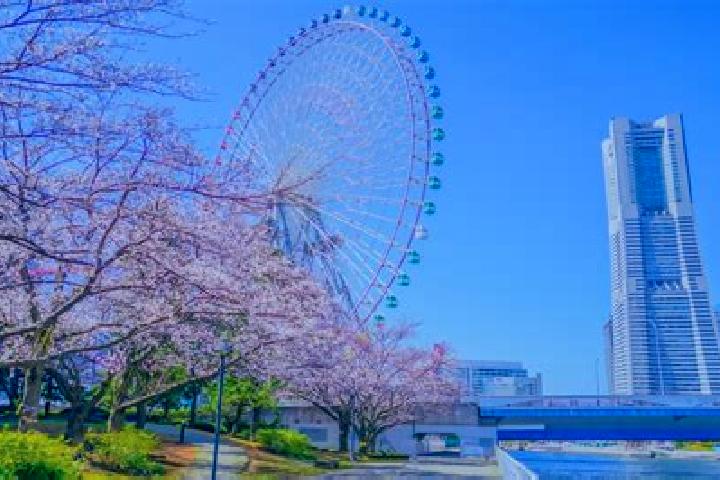 Sage, 36 — Escort in Minatomirai, Japan