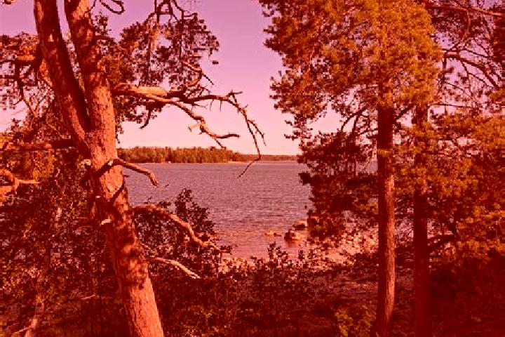 Sage, 36 — Escort in Munkkisaari, Finland