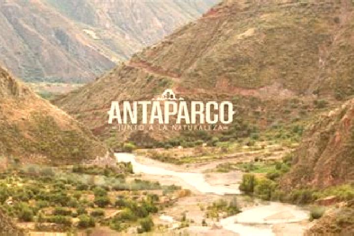 Sage, 37 — Escort in Antaparco, Peru