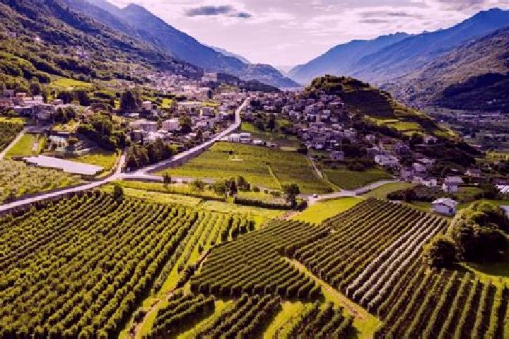 Sage, 37 — Escort in Berbenno, Italy