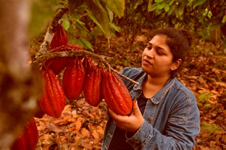 Sage, 37 — Escort in Flor de Cacao, Mexico
