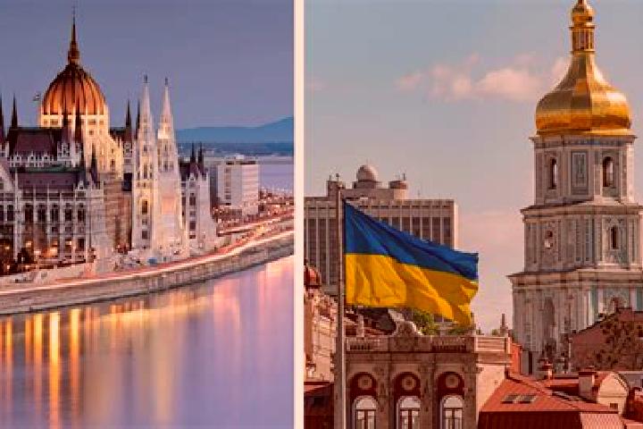 Sage, 37 — Escort in Stavchany, Ukraine