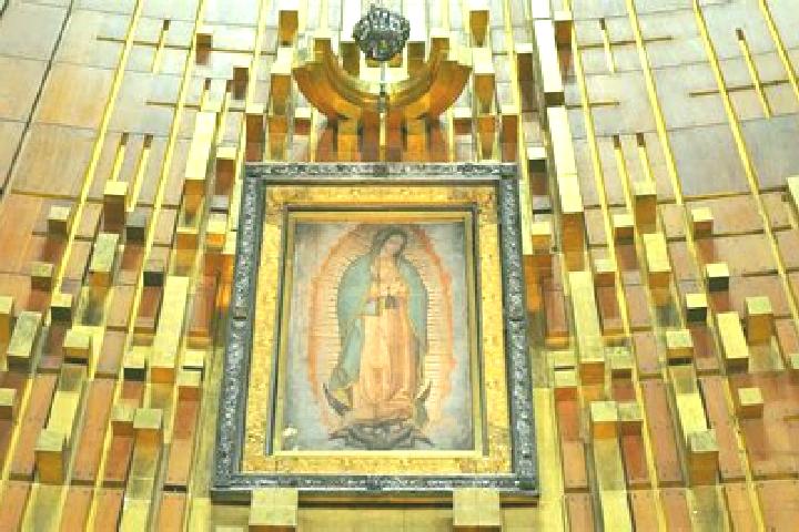 Sage, 38 — Escort in Guadalupe Villa Cardenas, Mexico