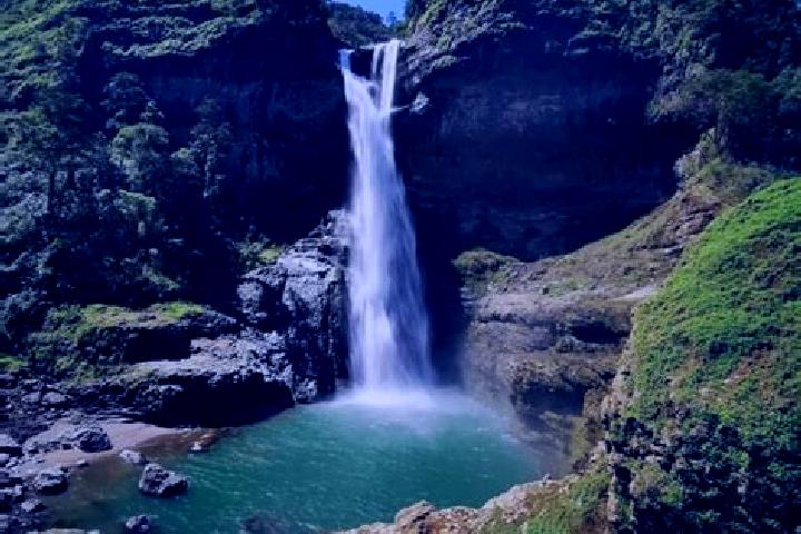 Sage, 38 — Escort in Pena Blanca, Honduras