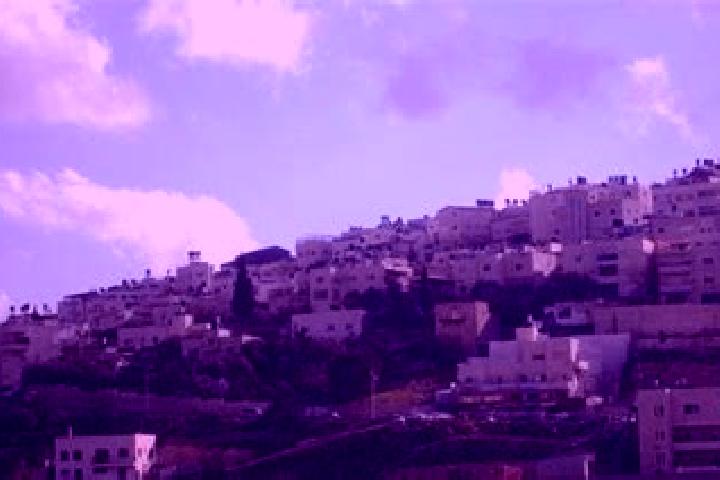 Sage, 38 — Escort in Sur Bahir, Palestine