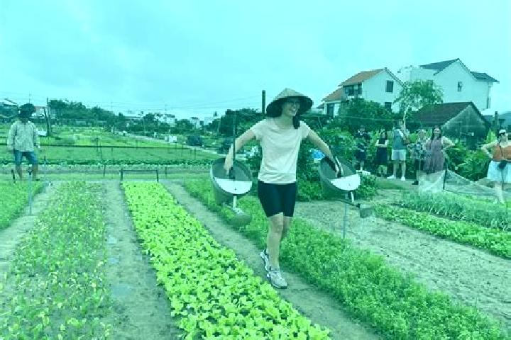 Sage, 38 — Escort in Tra Que Vegetable Village, Vietnam