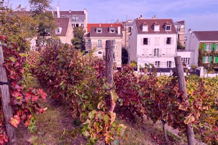 Sage, 39 — Escort in Les Rues-des-Vignes, France