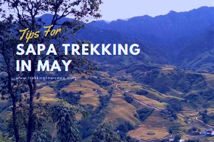 Sage, 39 — Escort in Sapa, Philippines