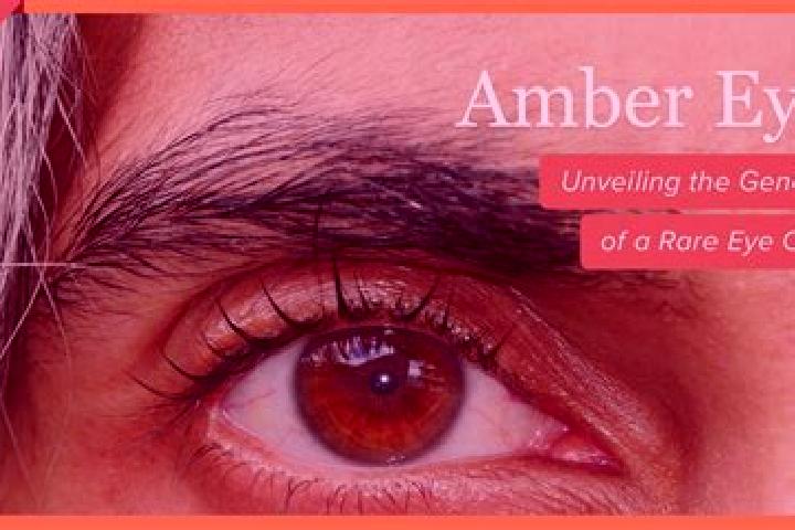 Scarlett, 20, a black amber-eyed caribbean companion based in Fairforest. Offering Dinner Date, GFE, Girlfriend Experience, Tantra. Available for incall and ...