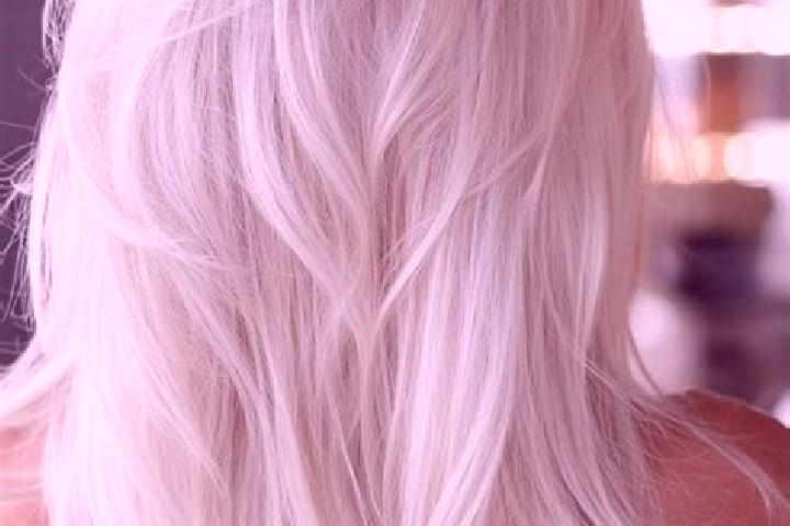 Scarlett, 20, a platinum blonde grey-eyed middle eastern companion based in Bosco Mesola. Offering OWO, BDSM, Overnight, Duos, GFE. Available for incall and ...