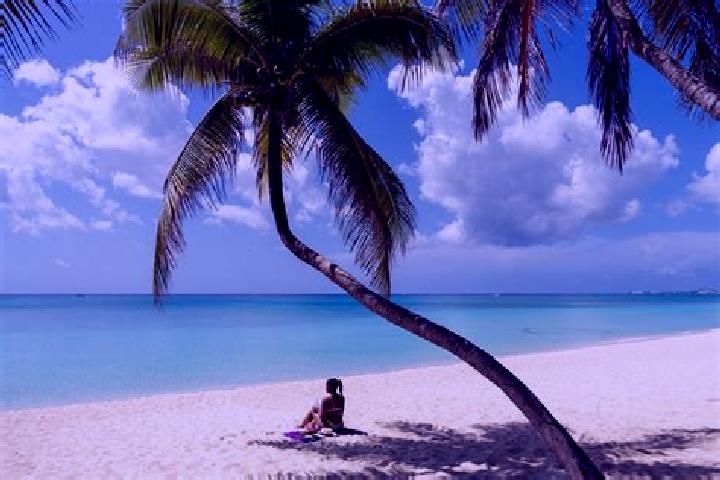 Scarlett, 20 — Escort in Seven Miles, Cayman Islands