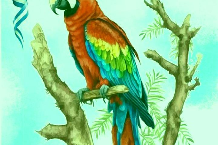 Scarlett, 21 — Escort in Guacamaya, Honduras