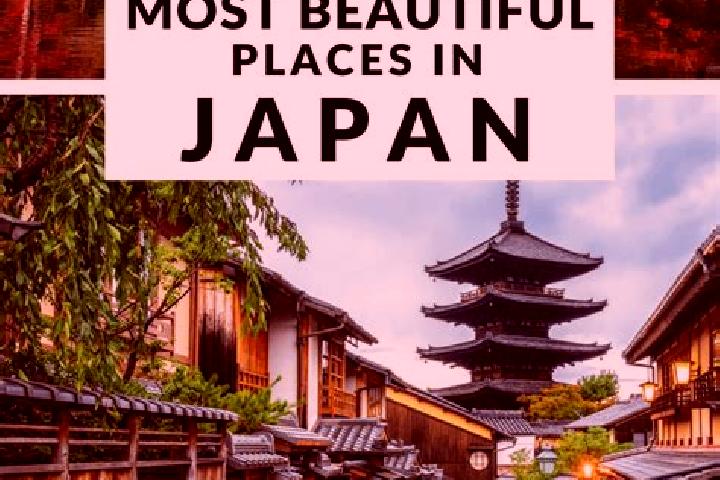 Scarlett, 21 — Escort in Negishicho, Japan