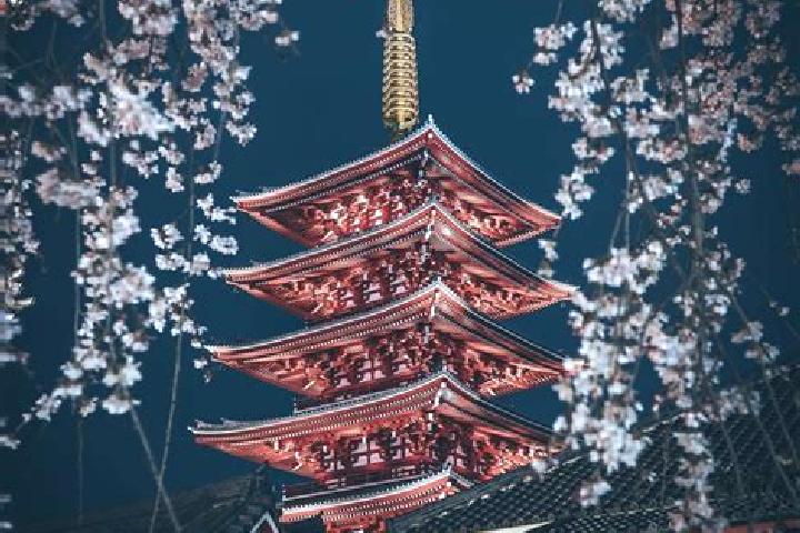 Scarlett, 22, a blonde amber-eyed caribbean companion based in Amouguer. Offering OWO, A-Level, Duos, Party Girl. Available for incall and outcall, day and e...