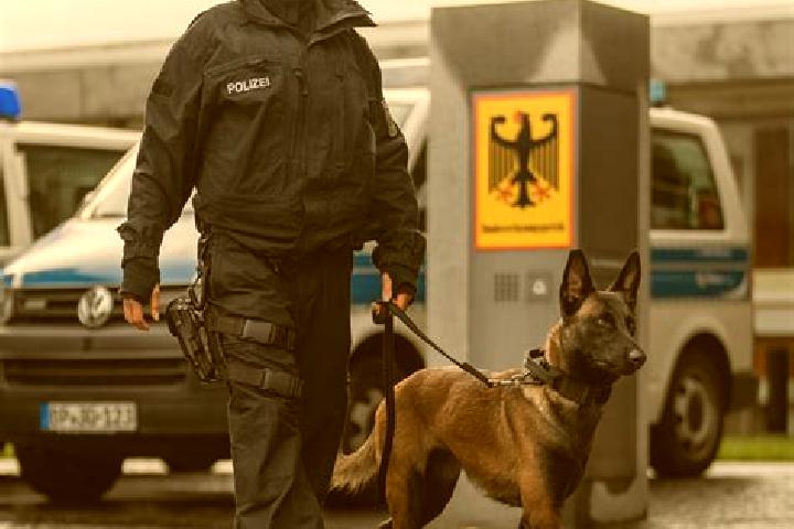 Scarlett, 22 — Escort in Bei der Hoehne, Germany