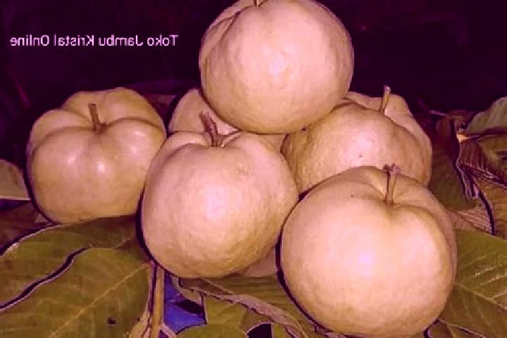 Scarlett, 22 — Escort in Jambu, Indonesia