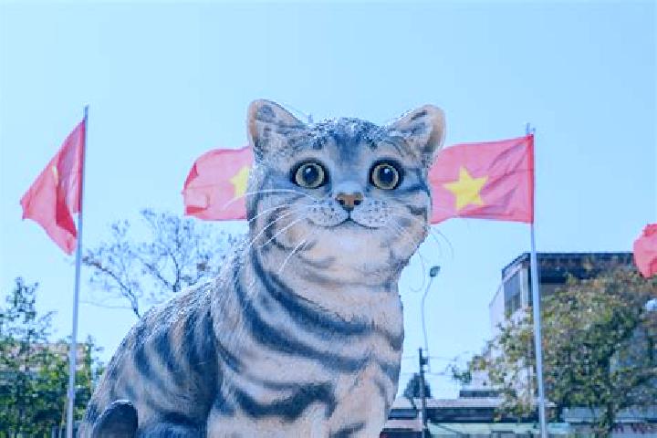 Scarlett, 22 — Escort in Na Meo, Vietnam