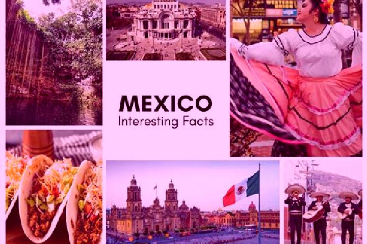 Scarlett, 23 — Escort in Chicola, Mexico