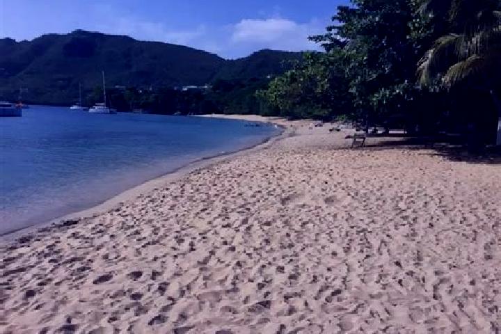 Scarlett, 23 — Escort in Petit Bordel, Saint Vincent and the Grenadines