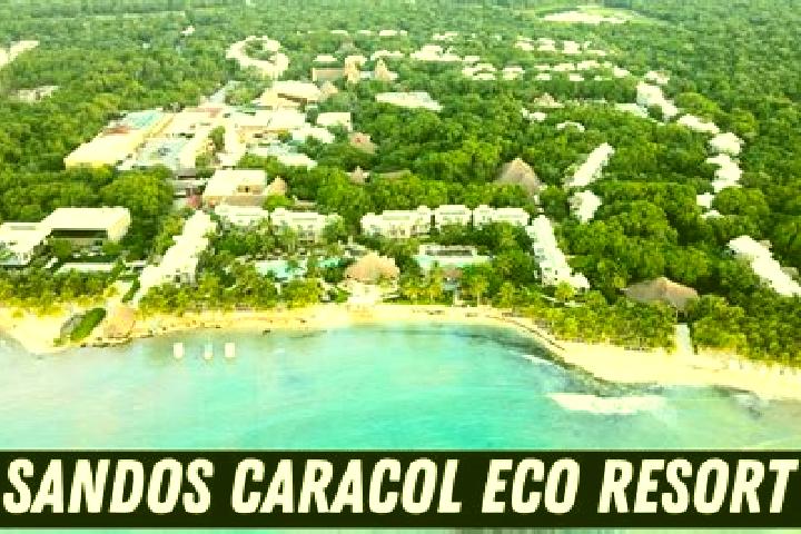 Scarlett, 24 — Escort in El Caracol, Mexico