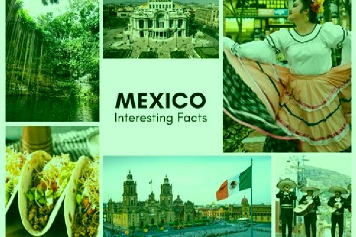 Scarlett, 24 — Escort in Mohoneras, Mexico