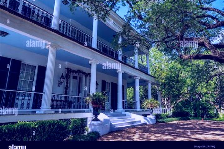 Scarlett, 24 — Escort in Oakleaf Plantation, United States