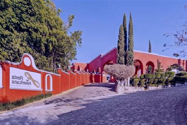 Scarlett, 25 — Escort in Ixtapan de la Sal, Mexico