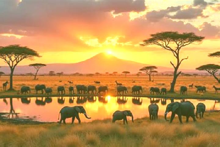 Scarlett, 25 — Escort in Kajiado, Kenya