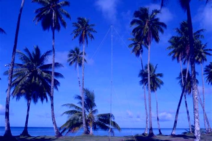 Scarlett, 25 — Escort in Rumung, Micronesia