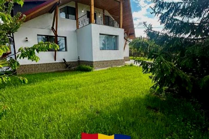 Scarlett, 25 — Escort in Scorteni, Romania