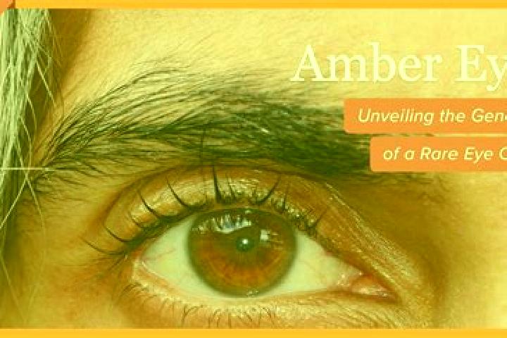 Scarlett, 26, a red amber-eyed mixed companion based in Baralokaha. Offering Striptease, Overnight, Deep French Kissing. Available for incall and outcall, da...