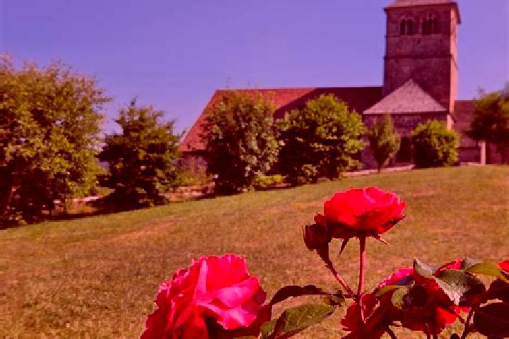 Scarlett, 26 — Escort in Champ-le-Duc, France