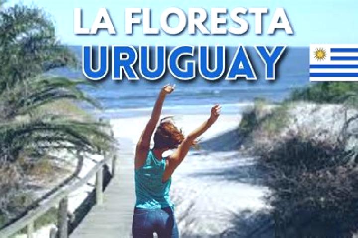Scarlett, 26 — Escort in La Floresta, Uruguay