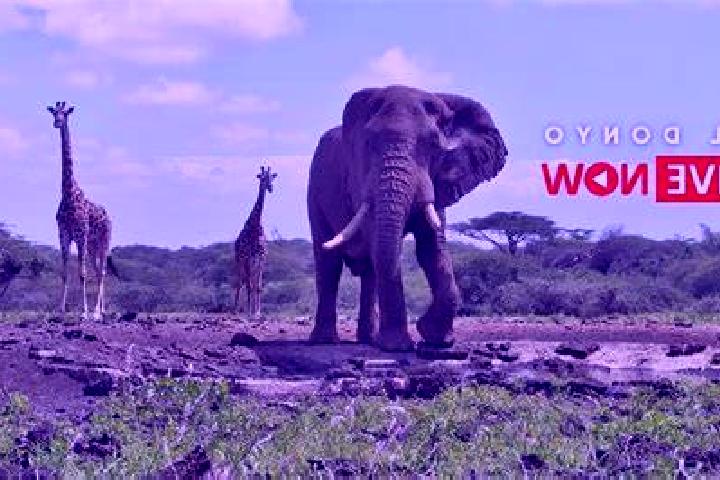 Scarlett, 26 — Escort in Ol Donyo, Kenya
