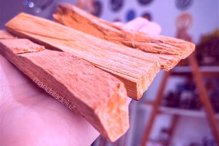 Scarlett, 26 — Escort in Palo Gordo, Mexico