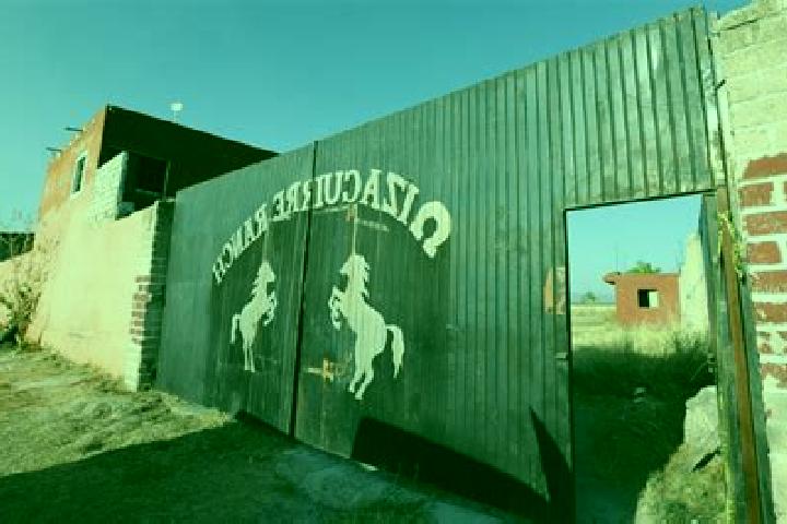 Scarlett, 26 — Escort in Rancho de Pala, Mexico