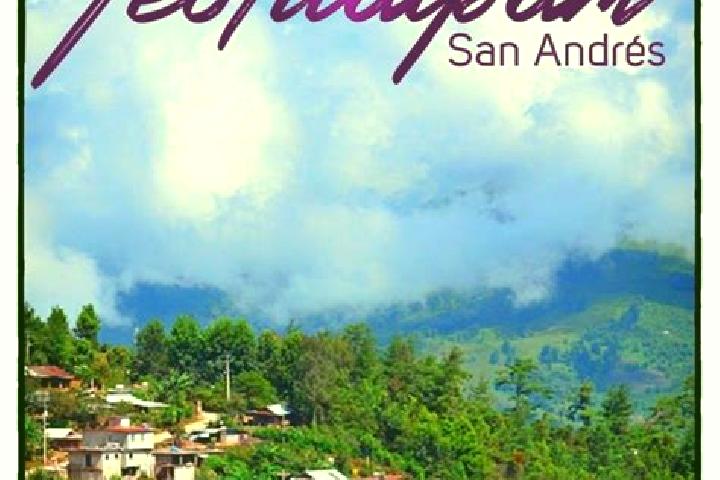 Scarlett, 26 — Escort in San Andres Teotilalpam, Mexico