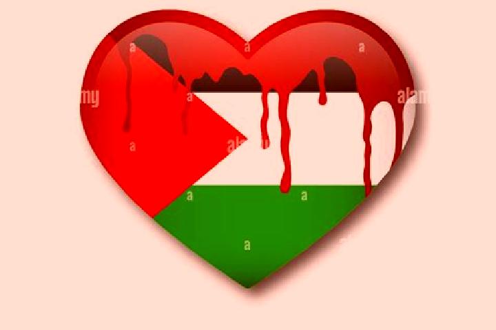 Scarlett, 26 — Escort in Ti innik, Palestine