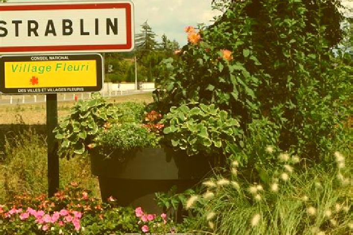 Scarlett, 27 — Escort in Estrablin, France