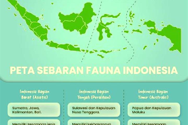 Scarlett, 27 — Escort in Kebon Tengah, Indonesia
