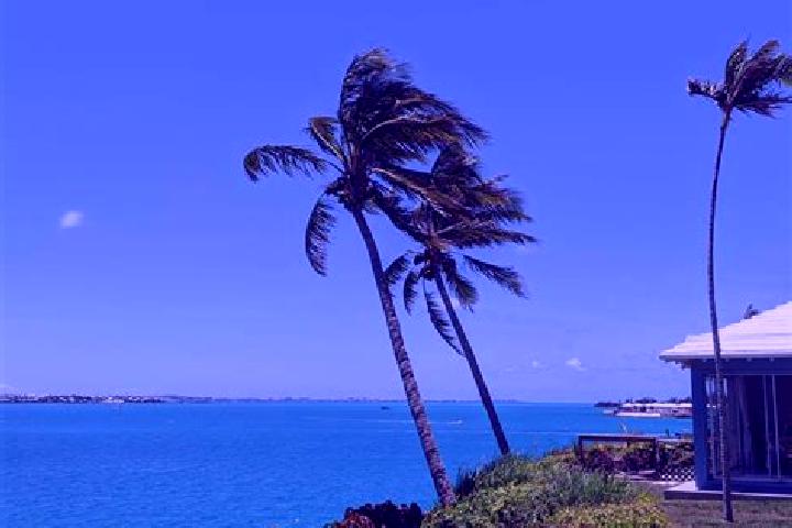 Scarlett, 27 — Escort in Somerset, Bermuda
