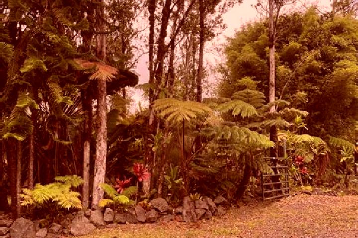 Scarlett, 29 — Escort in Fern Forest, United States