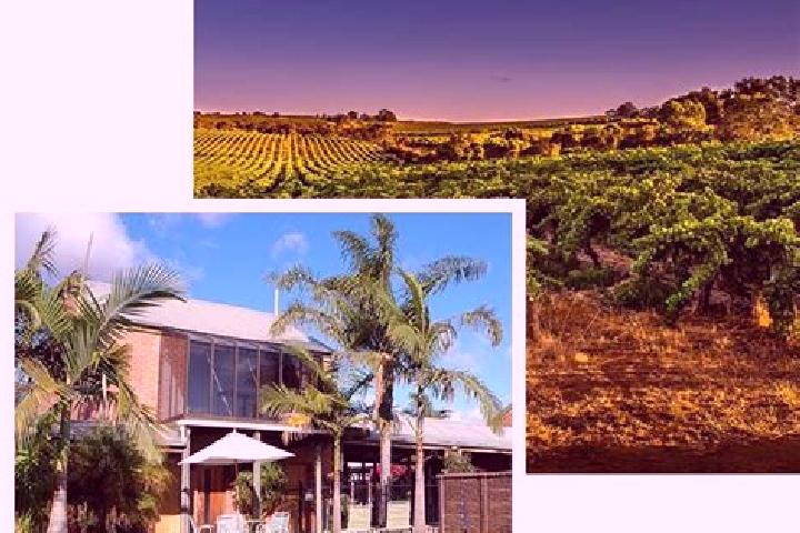 Scarlett, 29 — Escort in McLaren Vale, Australia
