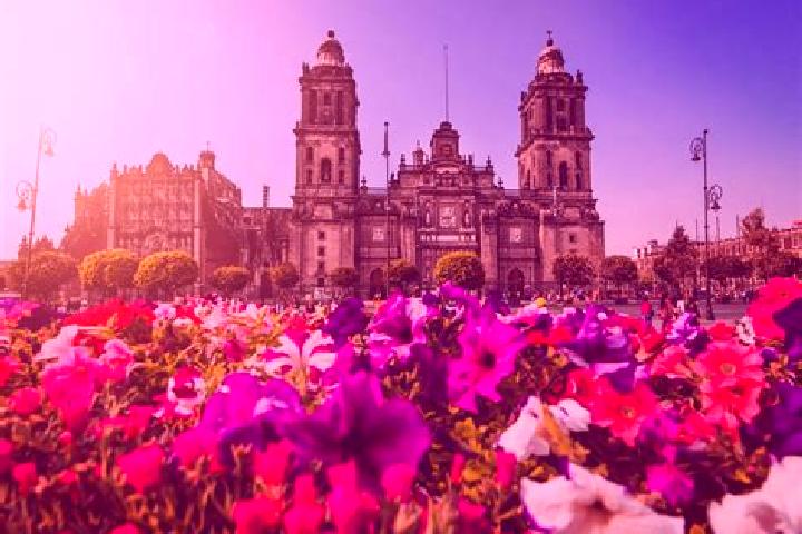 Scarlett, 30 — Escort in Ciudad Ayala, Mexico