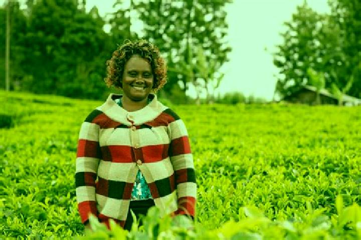 Scarlett, 30 — Escort in Githiga A, Kenya