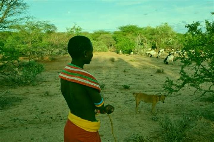 Scarlett, 30 — Escort in Merti, Kenya